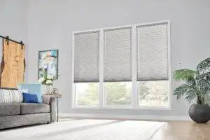 Grey window shades