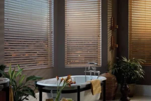 window blinds
