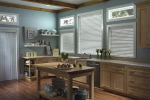 window blinds