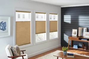 Brown Window shades