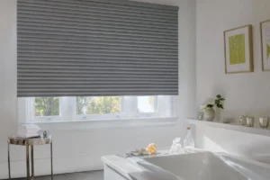 Grey window shades