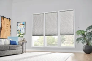 Grey window shades